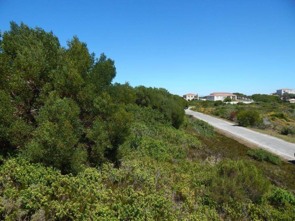2472 m² Land available in Santareme photo number 7