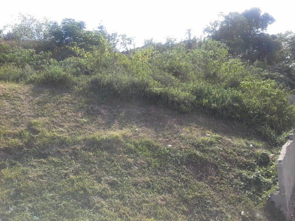 903 m² Land available in Umlazi photo number 1