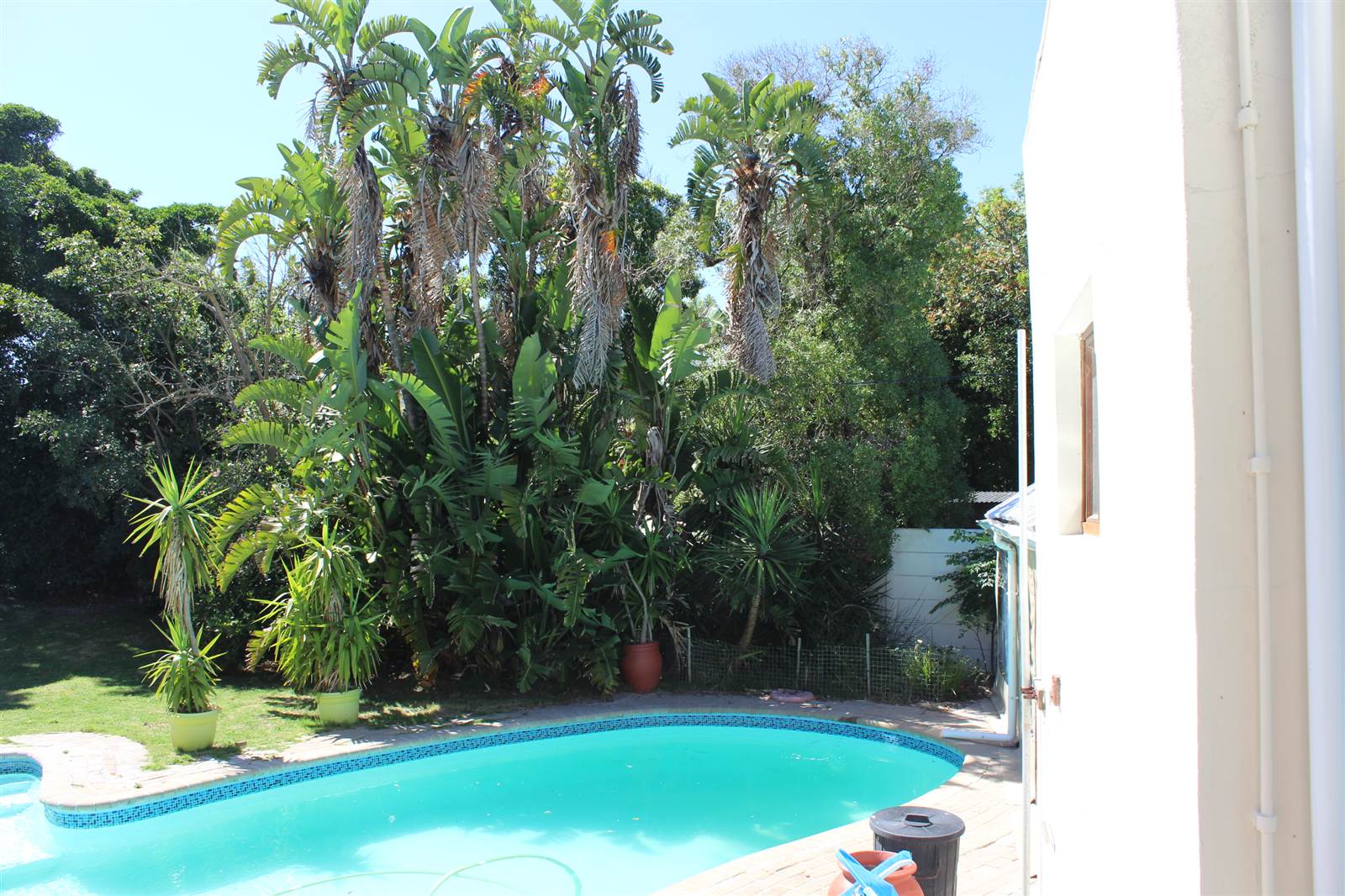 4 Bed House in Flamingo Vlei photo number 25