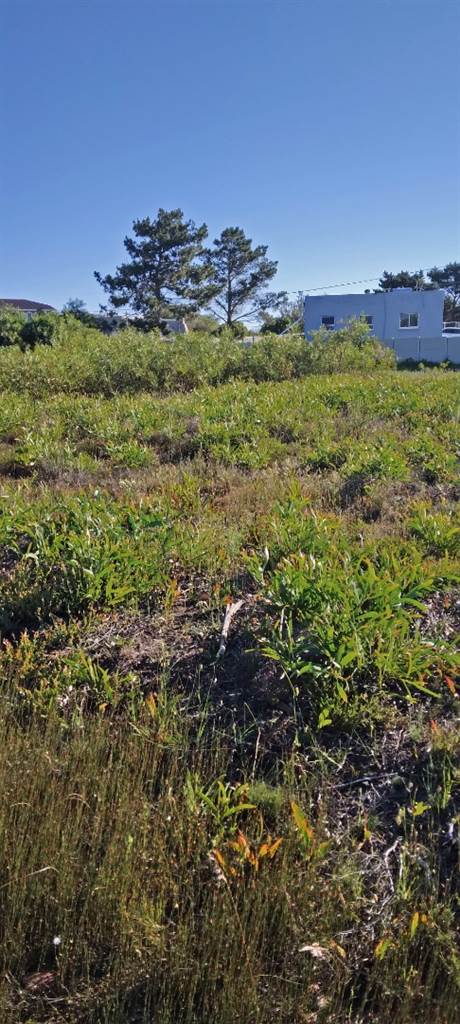 979 m² Land available in Fisherhaven photo number 5
