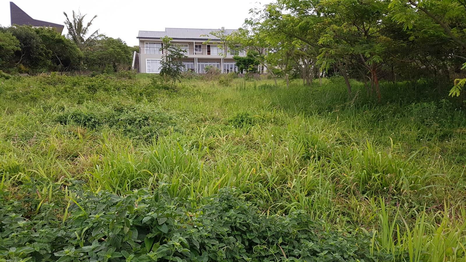 1164 m² Land available in Zinkwazi Beach photo number 5