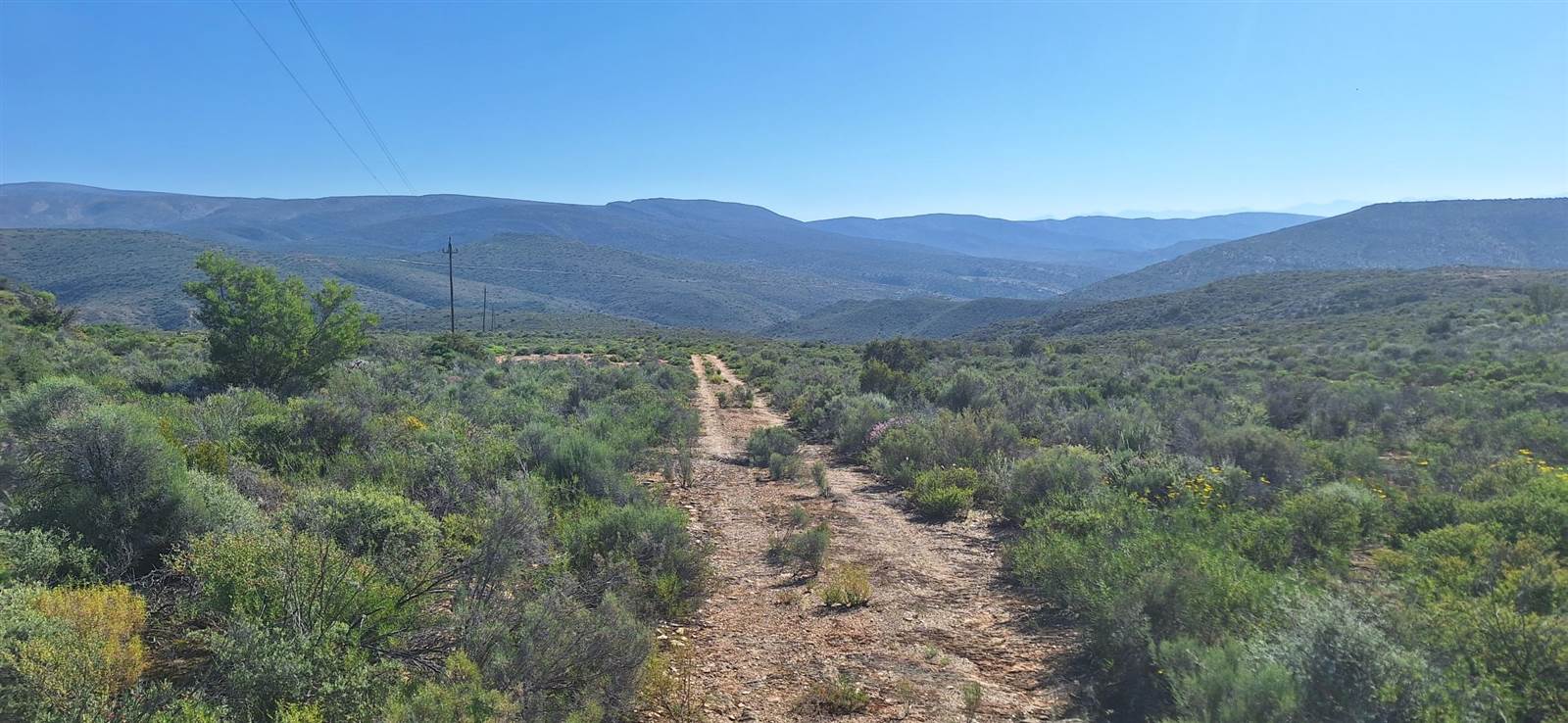 300 ha Land available in Oudtshoorn photo number 13