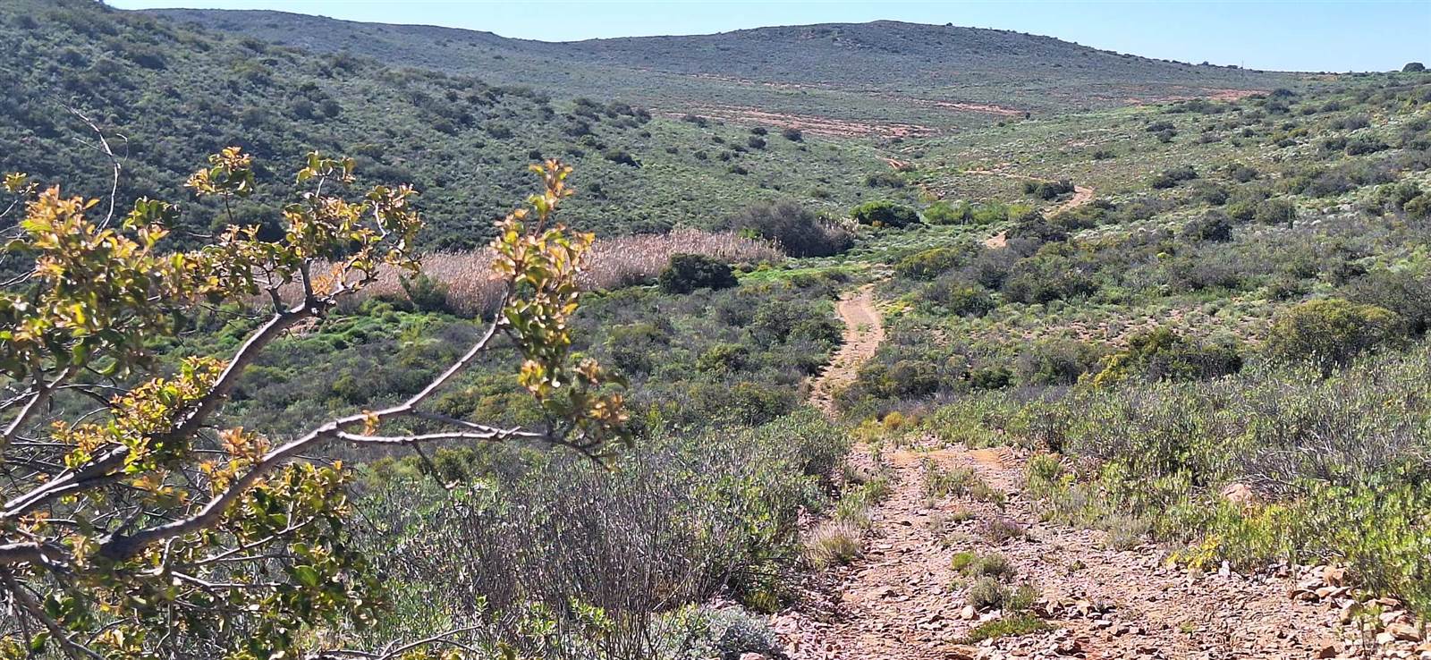 300 ha Land available in Oudtshoorn photo number 11