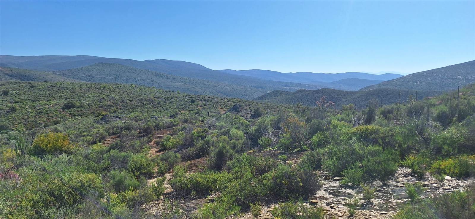 300 ha Land available in Oudtshoorn photo number 15