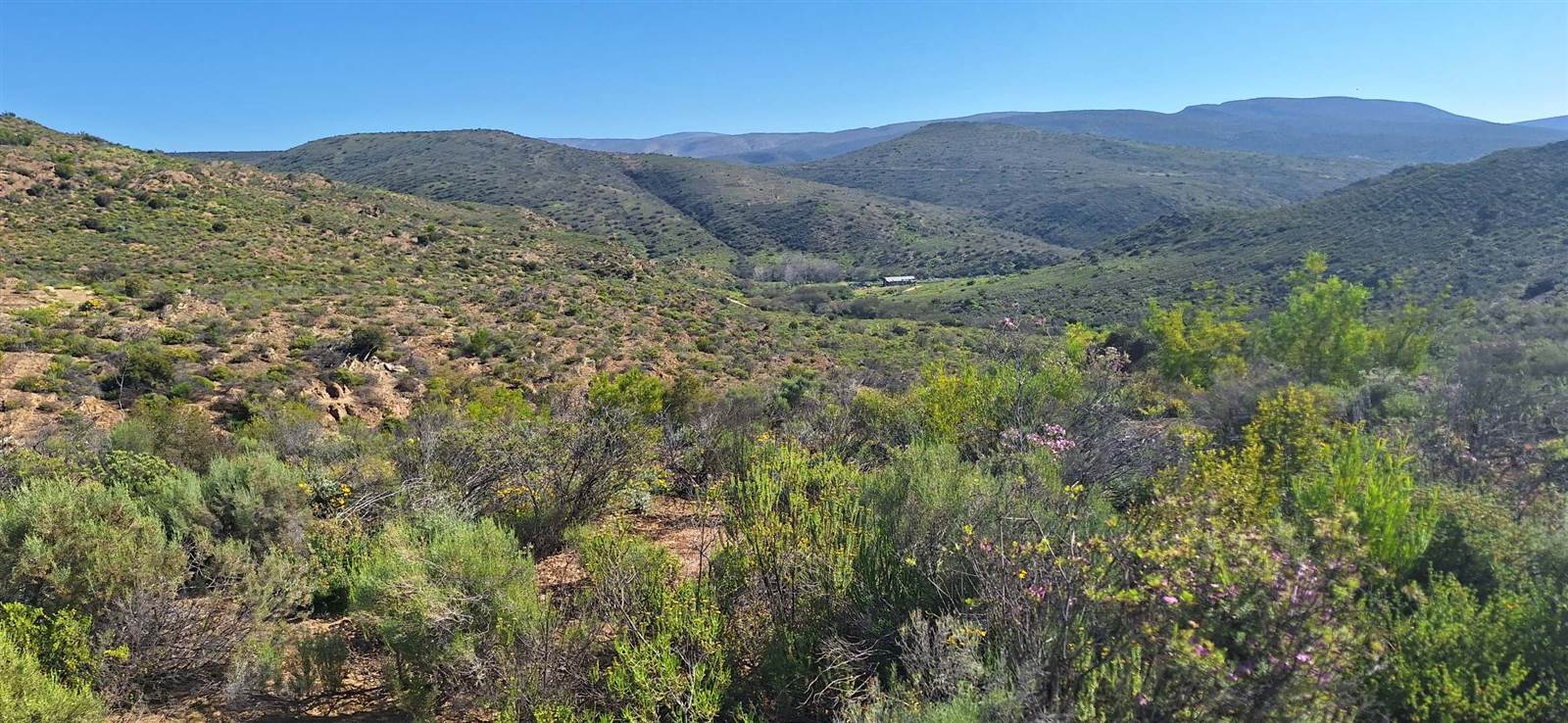 300 ha Land available in Oudtshoorn photo number 17
