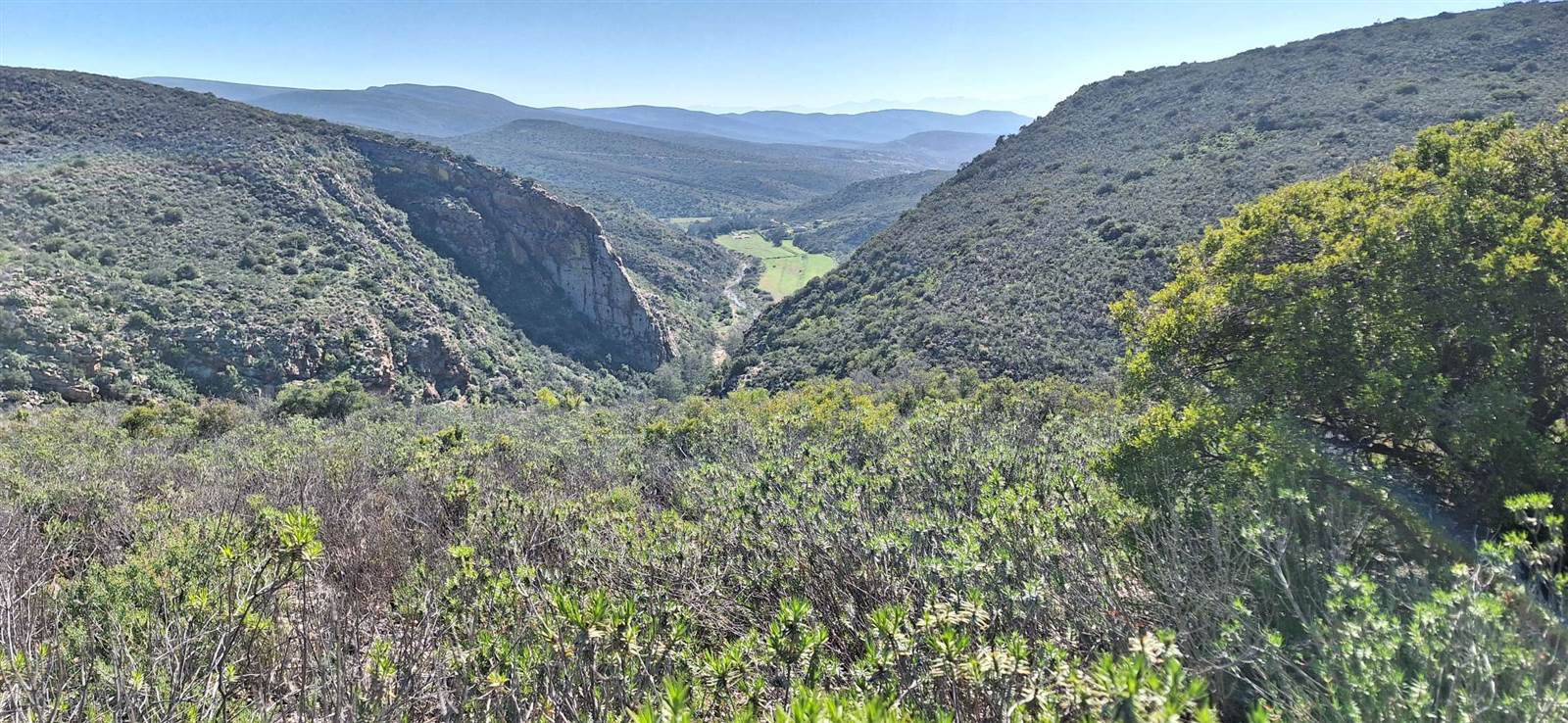 300 ha Land available in Oudtshoorn photo number 8