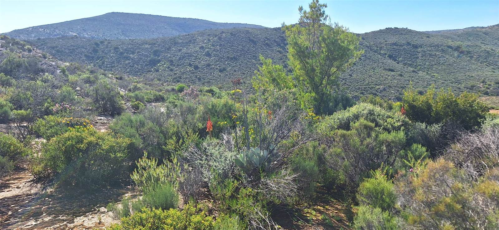 300 ha Land available in Oudtshoorn photo number 18