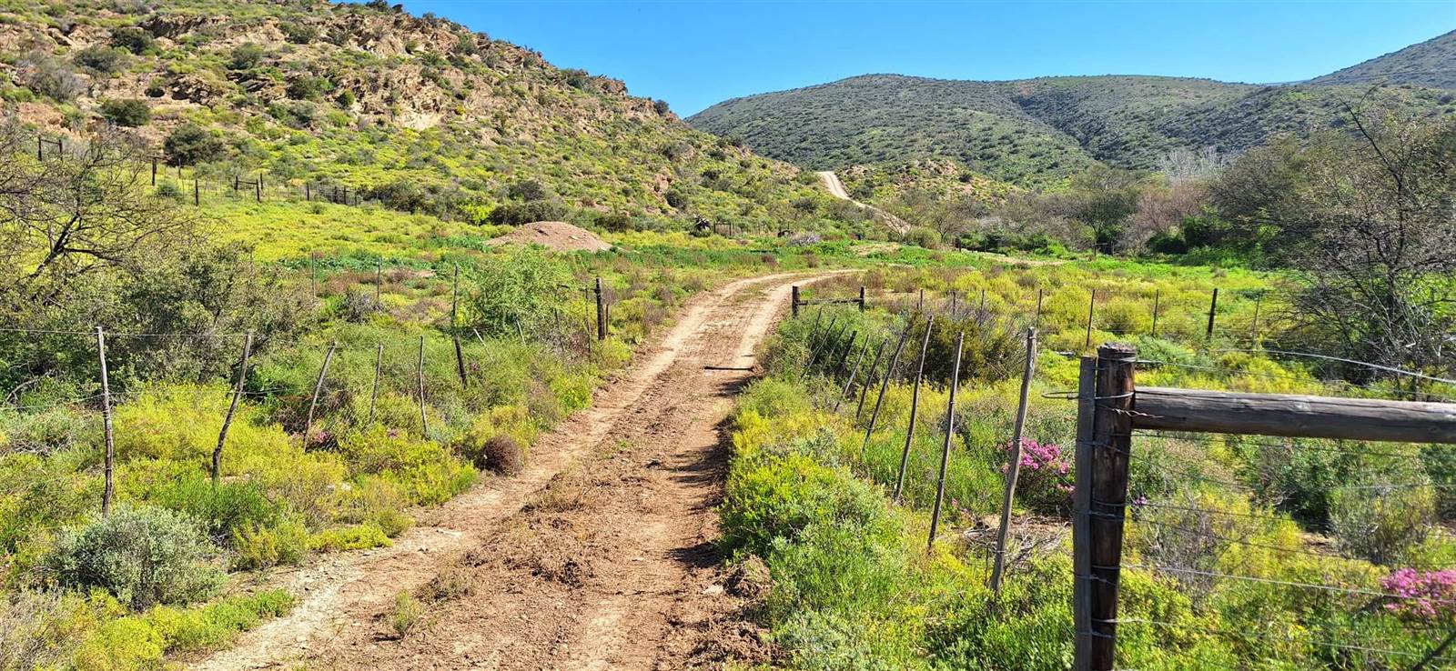 300 ha Land available in Oudtshoorn photo number 21