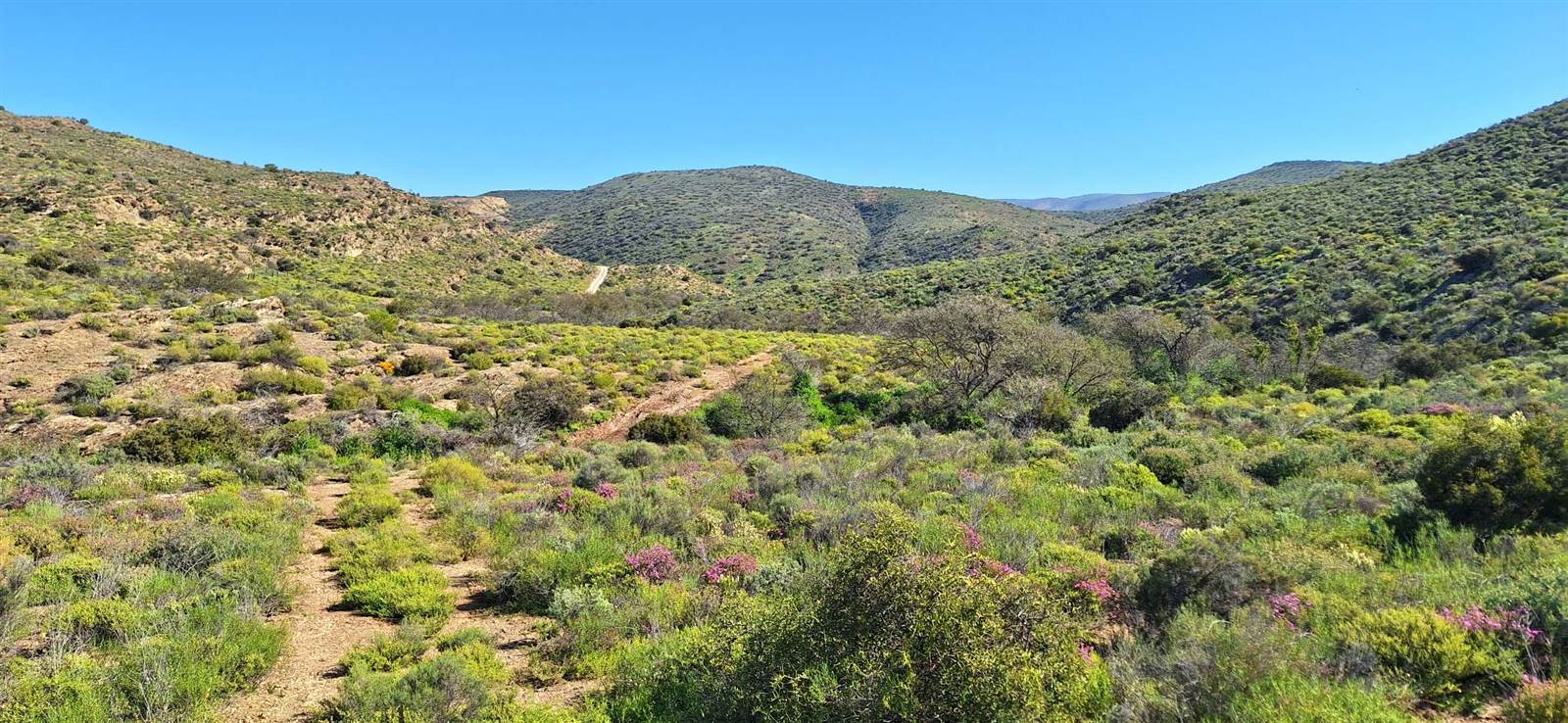 300 ha Land available in Oudtshoorn photo number 20