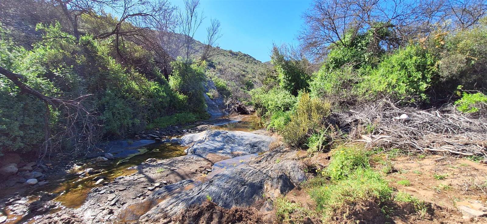 300 ha Land available in Oudtshoorn photo number 19