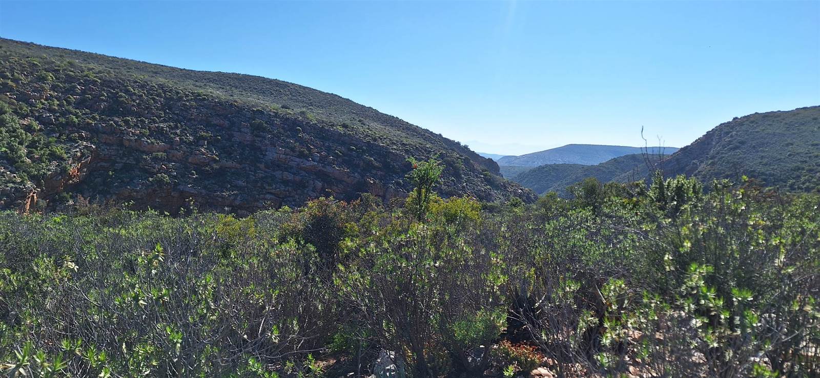 300 ha Land available in Oudtshoorn photo number 5
