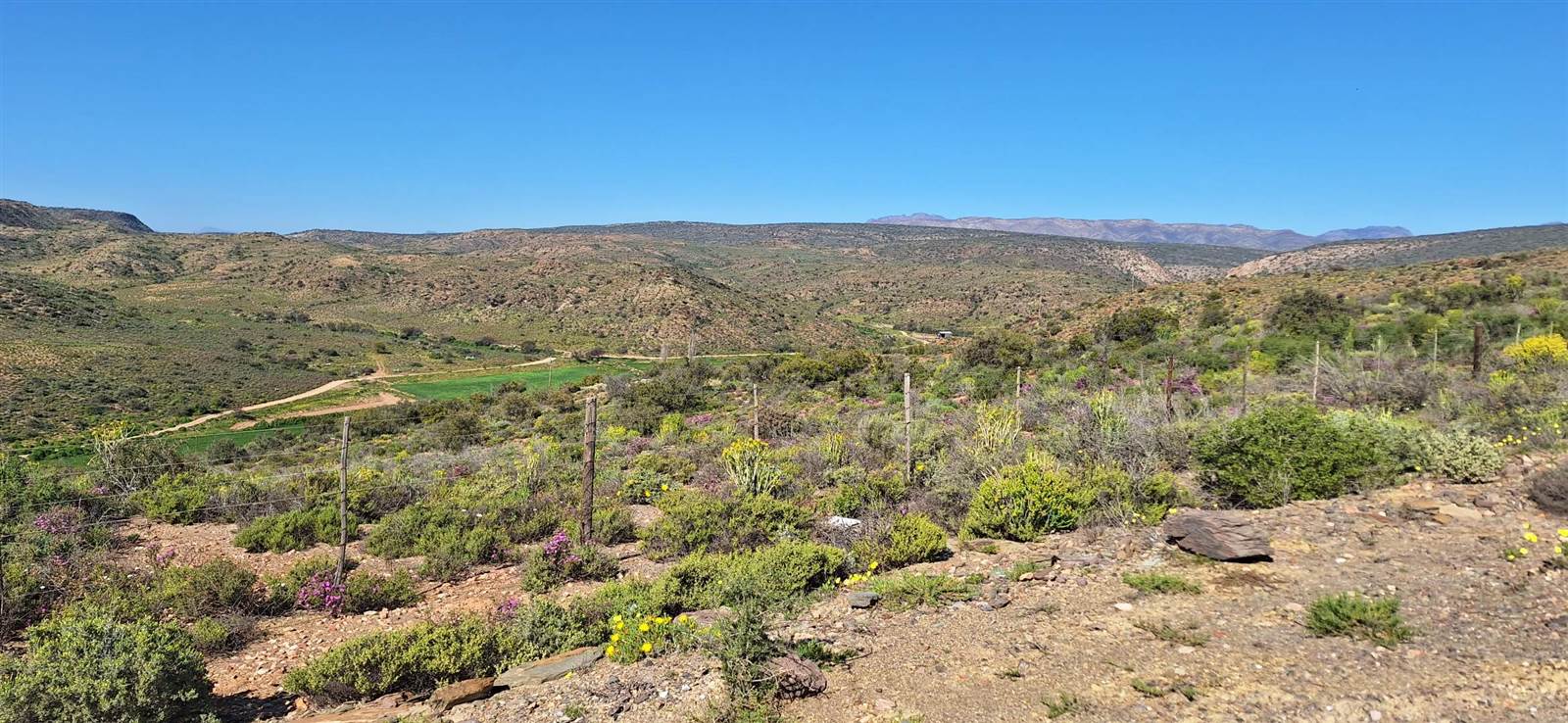 300 ha Land available in Oudtshoorn photo number 22
