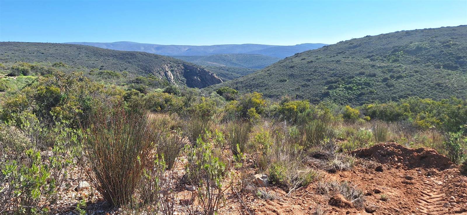 300 ha Land available in Oudtshoorn photo number 9