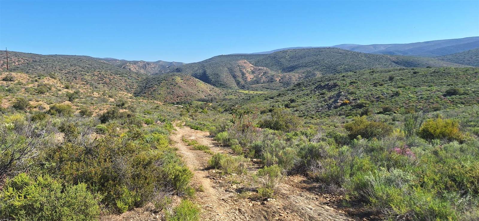 300 ha Land available in Oudtshoorn photo number 14