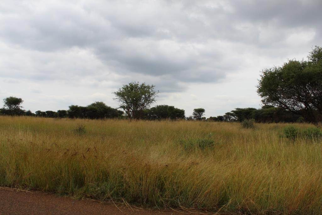1250 m² Land available in Northam photo number 18