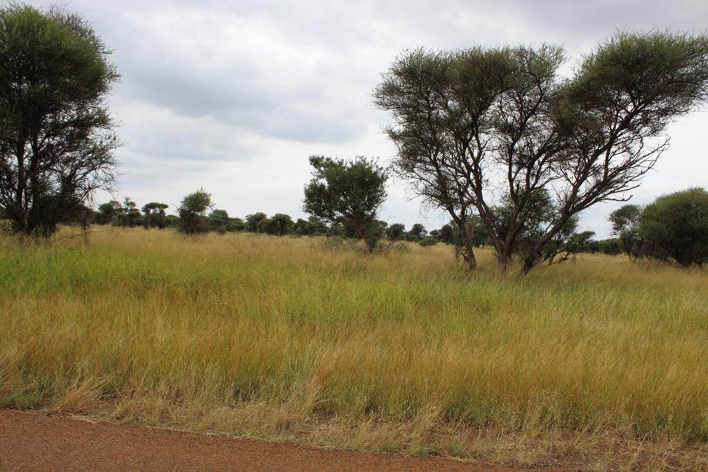 1250 m² Land available in Northam photo number 7