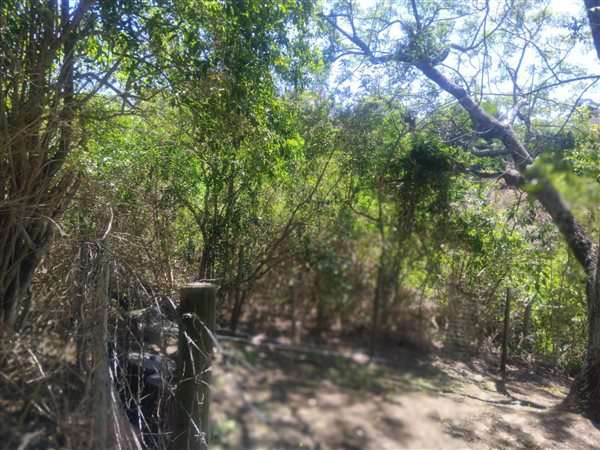 1 190 m² Land 1 190 m² Land