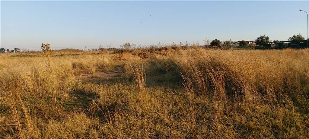 1930 m² Land available in Middelburg photo number 2