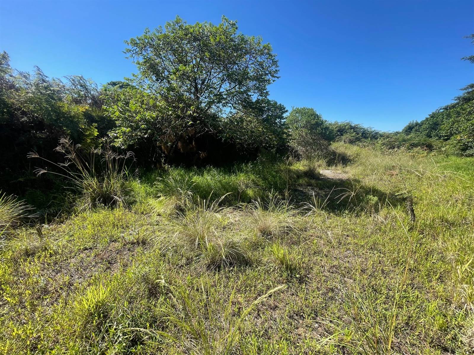 1144 m² Land available in Eshowe photo number 5