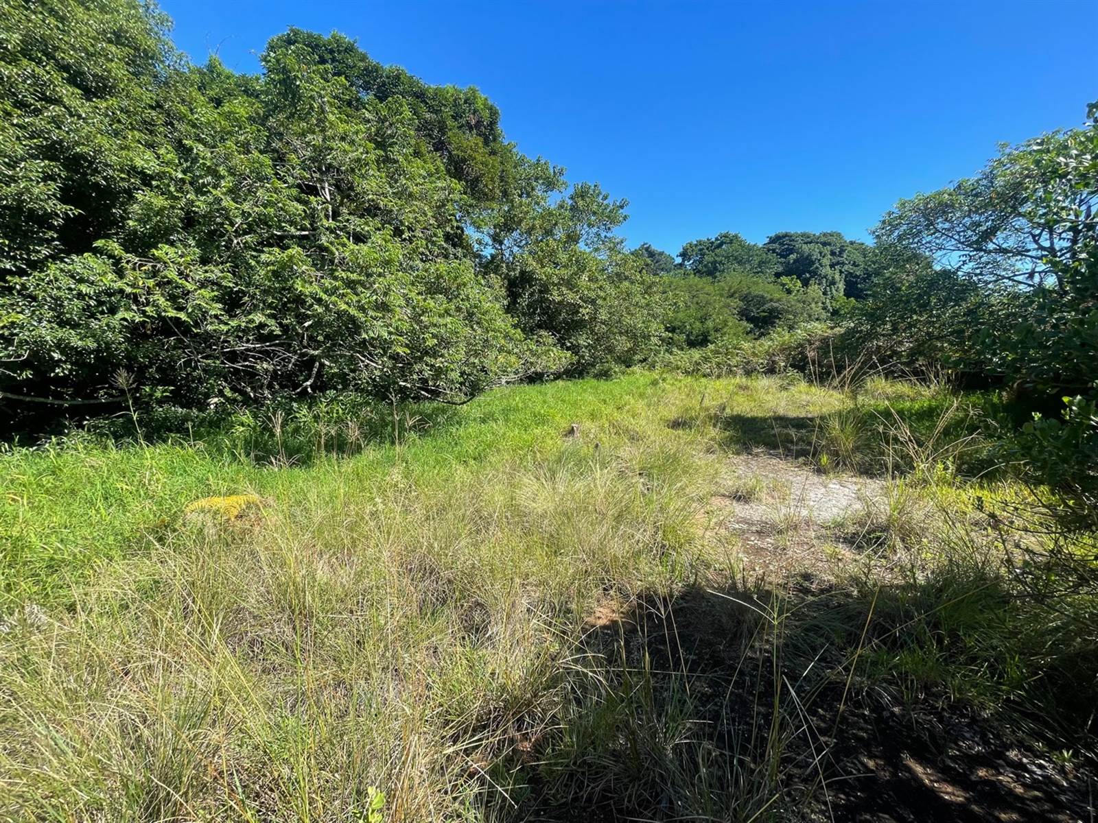 1144 m² Land available in Eshowe photo number 4
