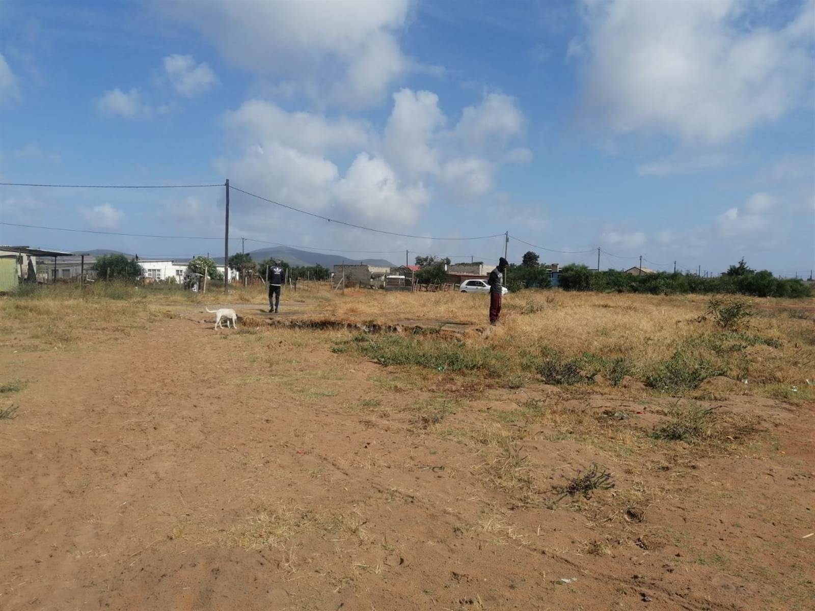 991 m² Land available in Chatsworth photo number 3