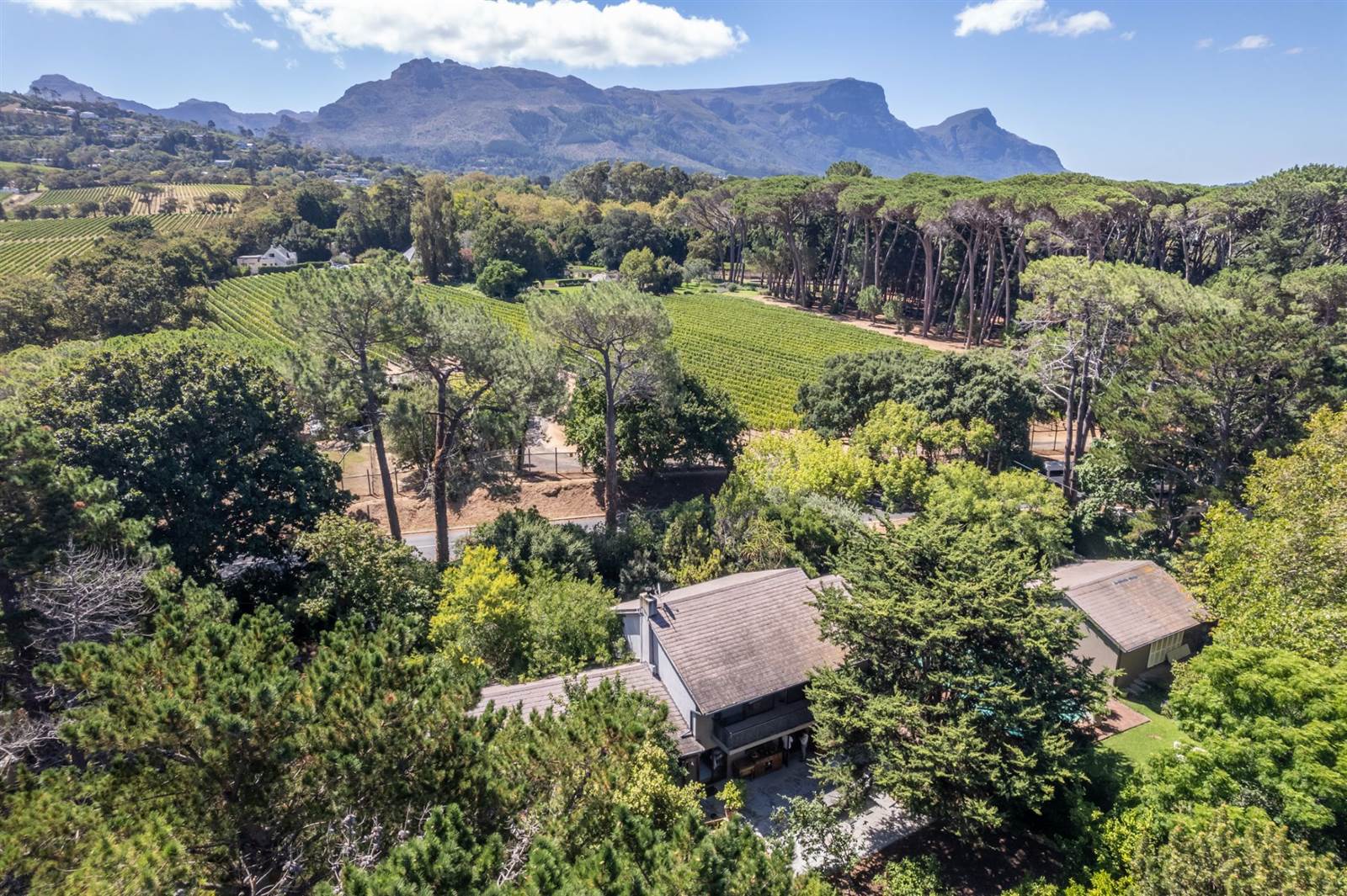 3 Bed House in Constantia Upper  photo number 2