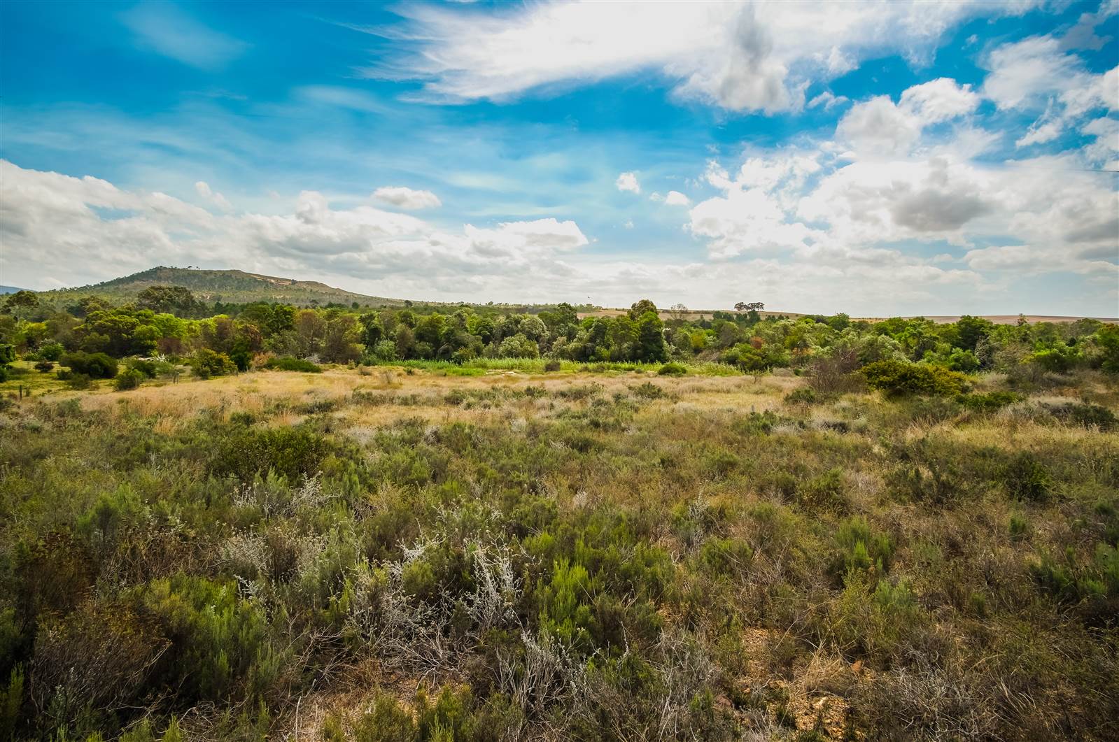 1 ha Land available in Napier photo number 9