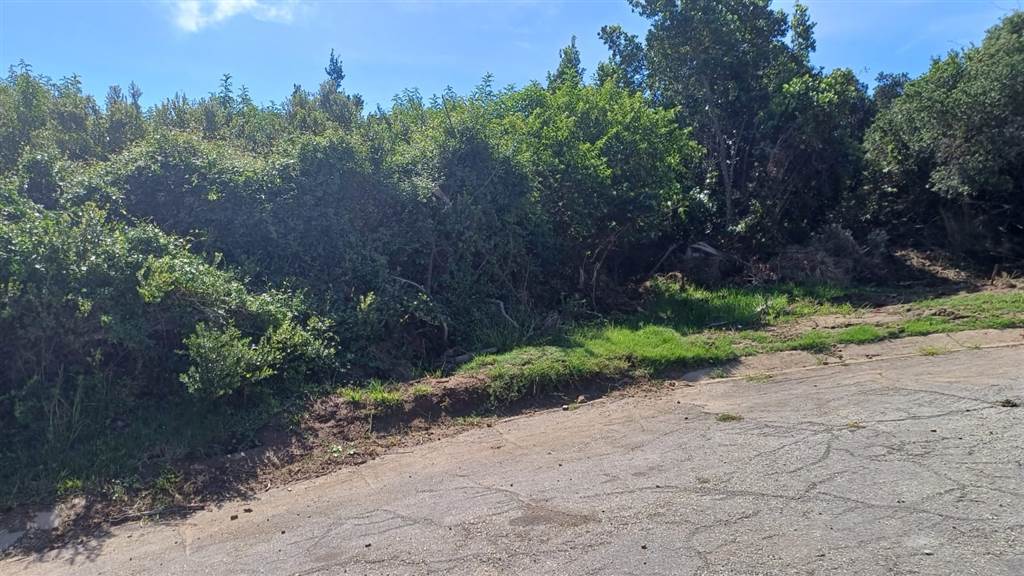 831 m² Land available in Blue Horizon Bay photo number 8