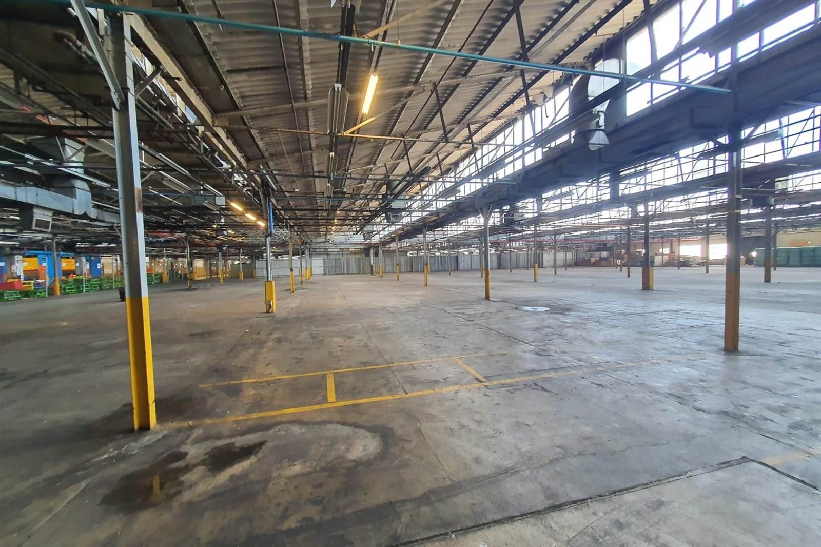 5000  m² Industrial space in Sidwell photo number 5