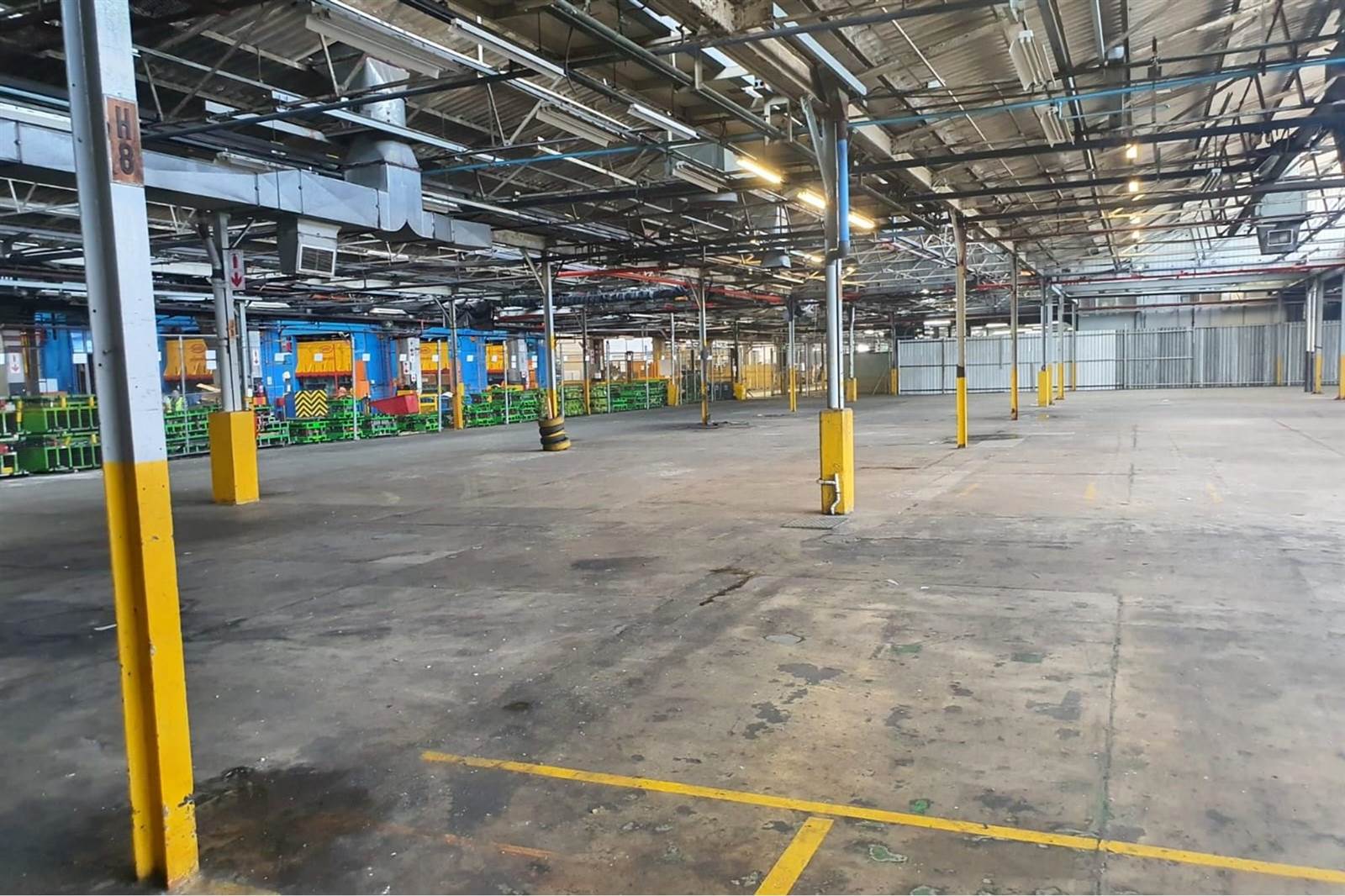 5000  m² Industrial space in Sidwell photo number 3