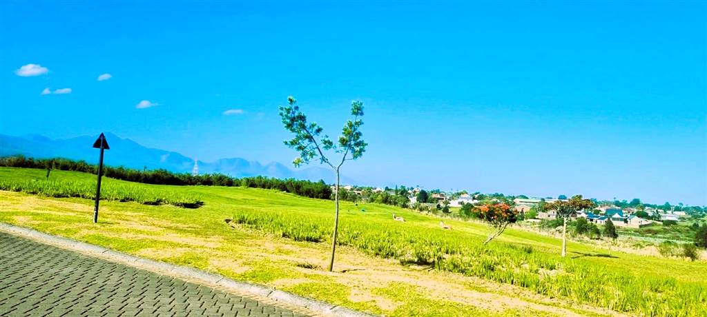 820 m² Land available in Kingswood Golf Estate photo number 8