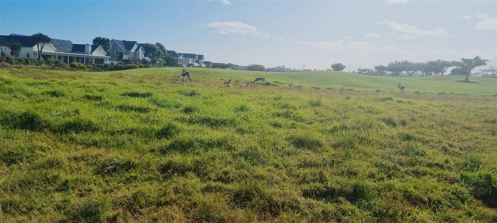 820 m² Land available in Kingswood Golf Estate photo number 14