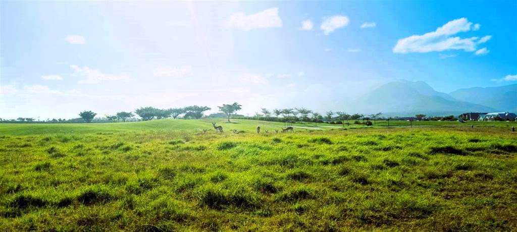 820 m² Land available in Kingswood Golf Estate photo number 15