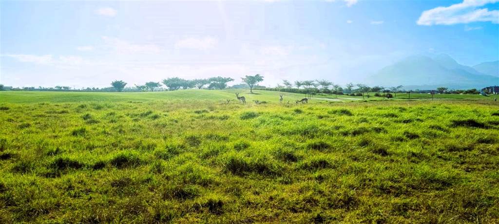 820 m² Land available in Kingswood Golf Estate photo number 13