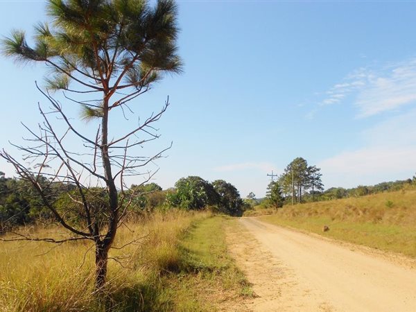 4481 m² Land available in Palm Beach