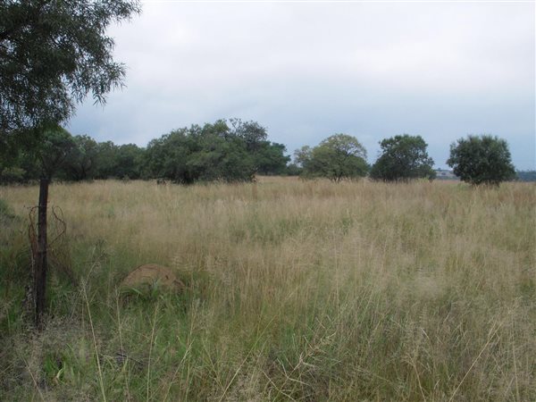 3.9 ha Land available in Laezonia