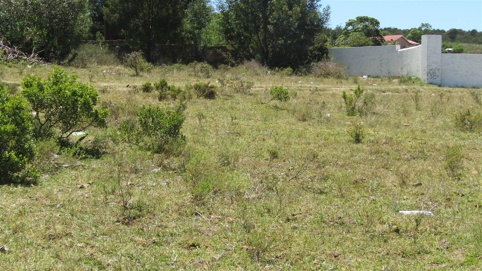 213 m² Land available in Kruisfontein photo number 4