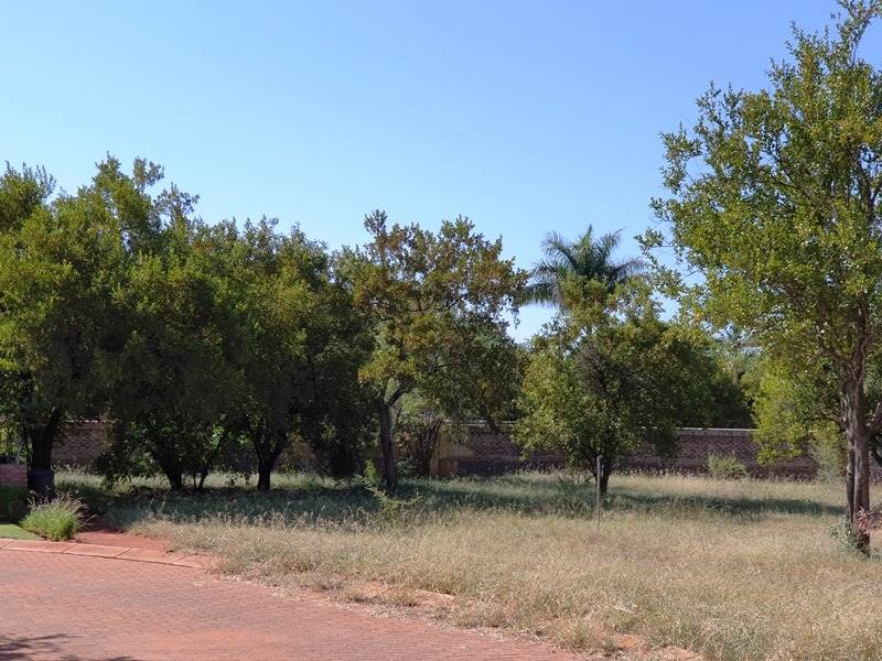 469 m² Land available in Mookgophong (Naboomspruit) photo number 4