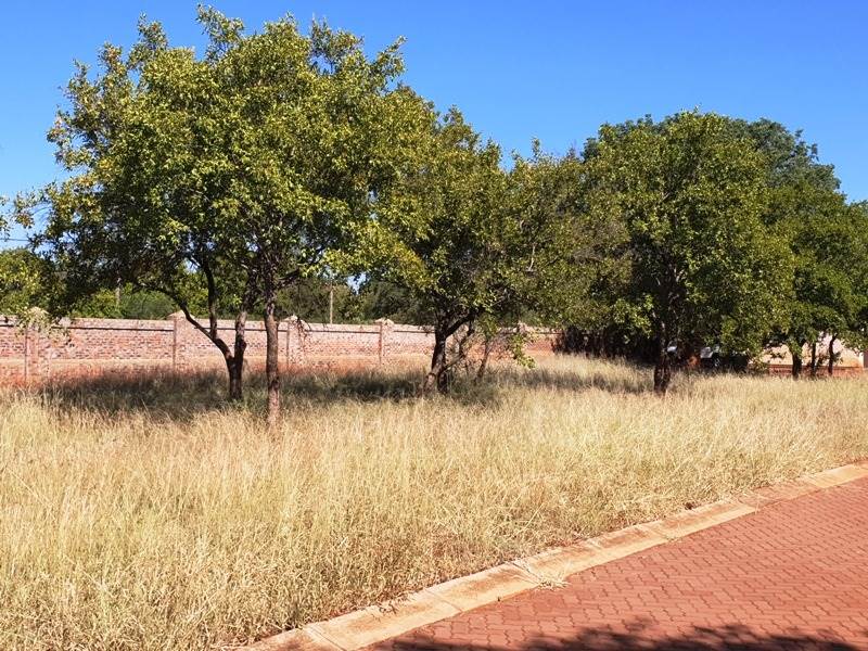469 m² Land available in Mookgophong (Naboomspruit) photo number 6
