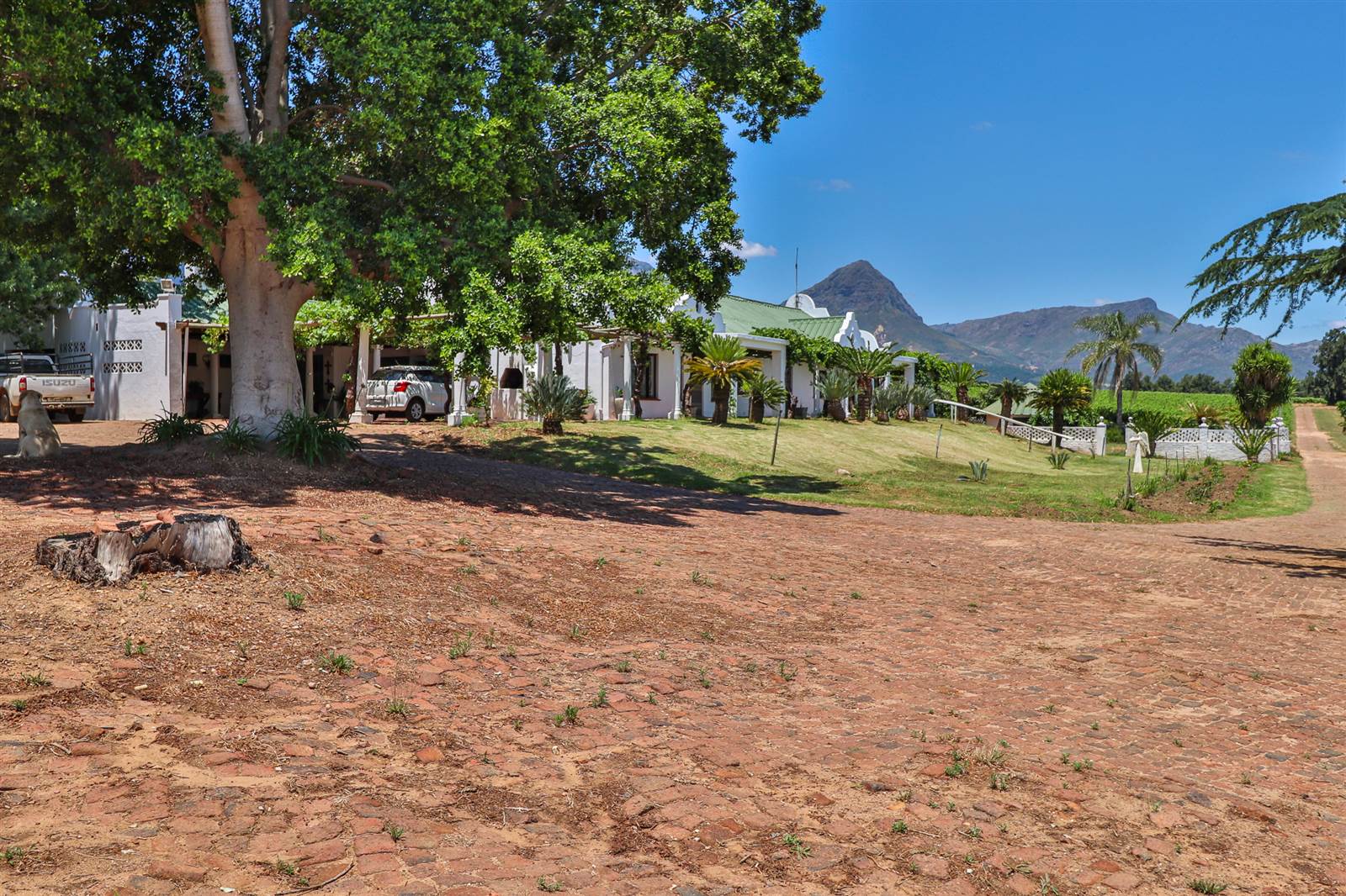 37 ha Farm in Northern Paarl photo number 18