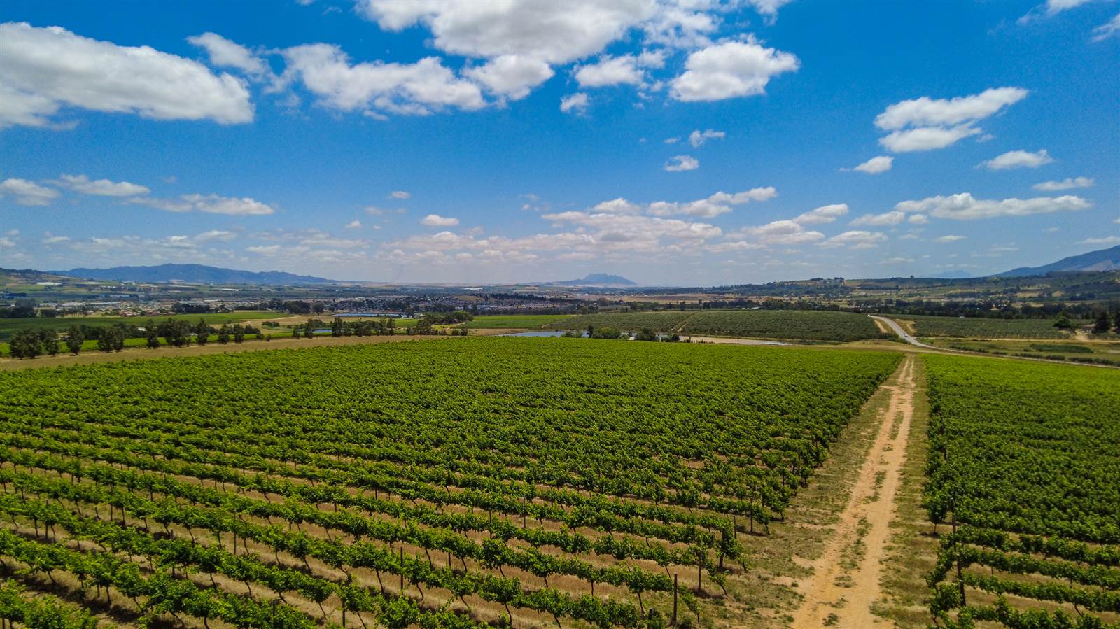 37 ha Farm in Northern Paarl photo number 11