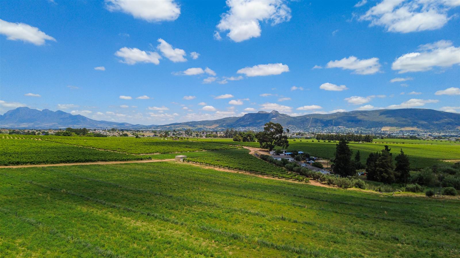 37 ha Farm in Northern Paarl photo number 7