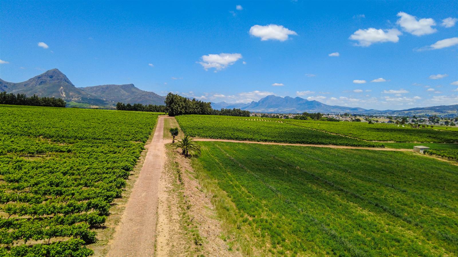 37 ha Farm in Northern Paarl photo number 6