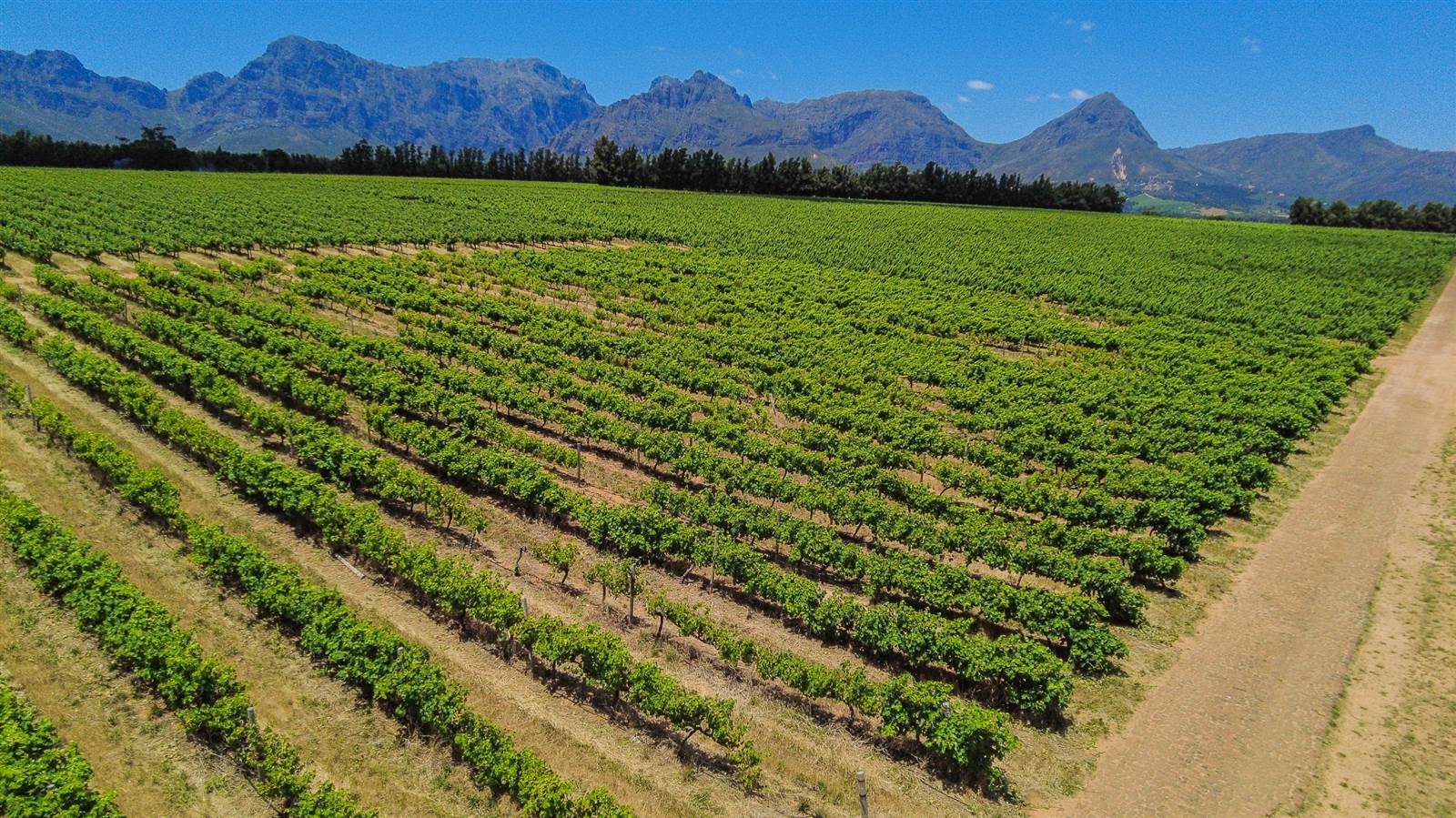 37 ha Farm in Northern Paarl photo number 8