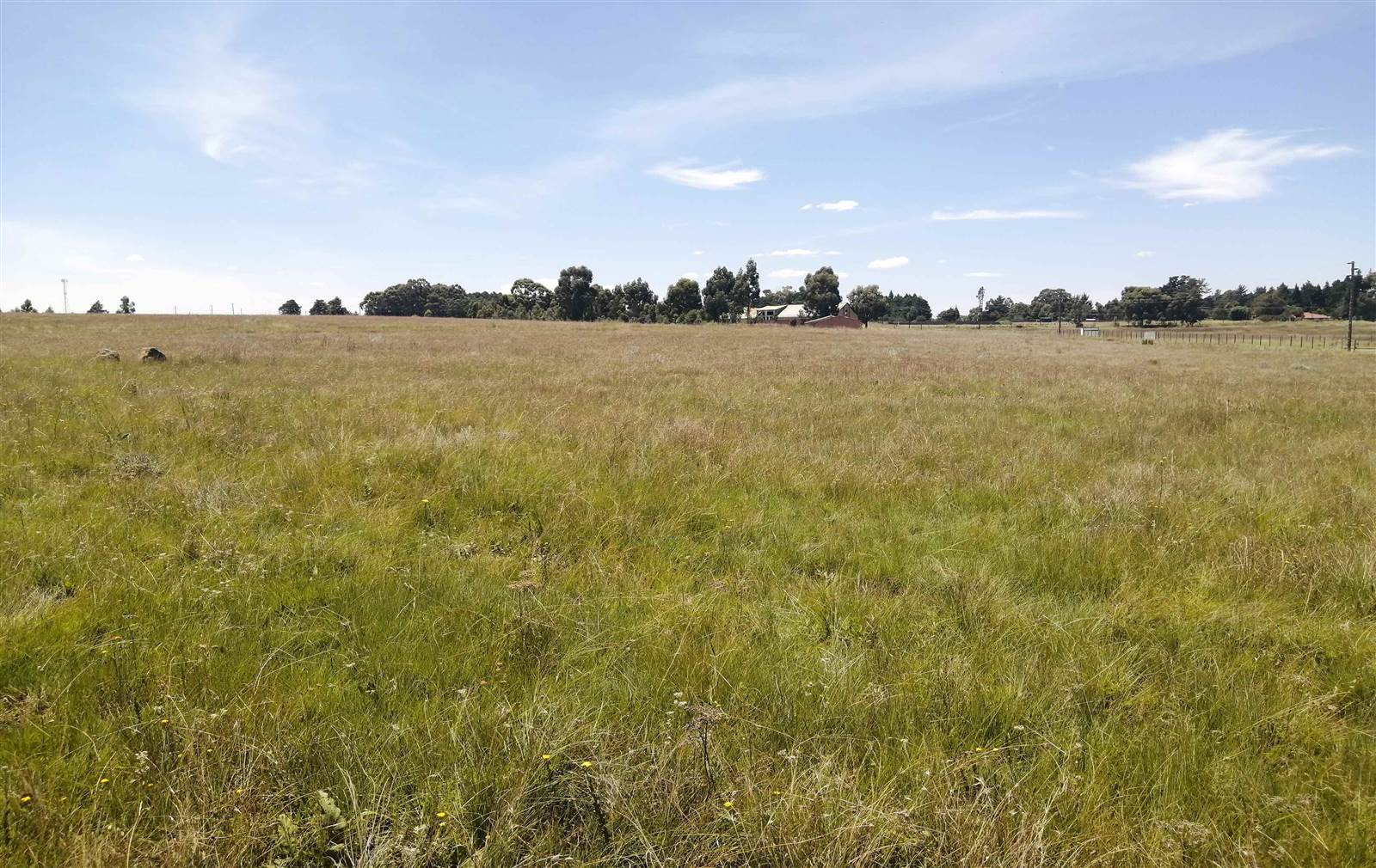 990 m² Land available in Dullstroom photo number 2