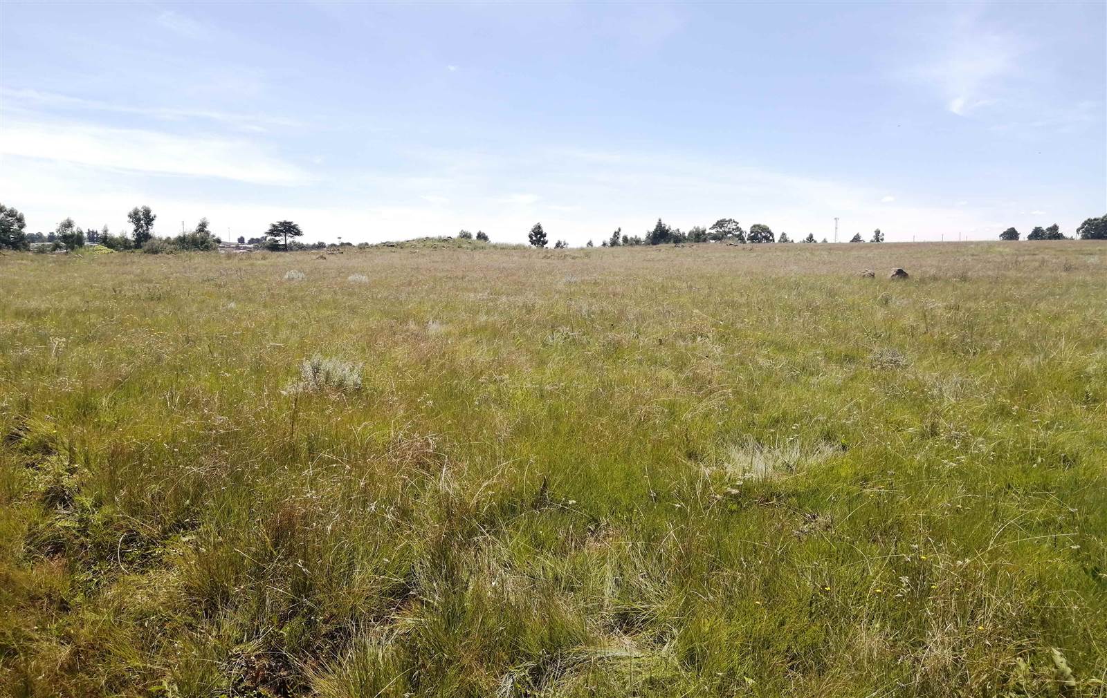 990 m² Land available in Dullstroom photo number 3