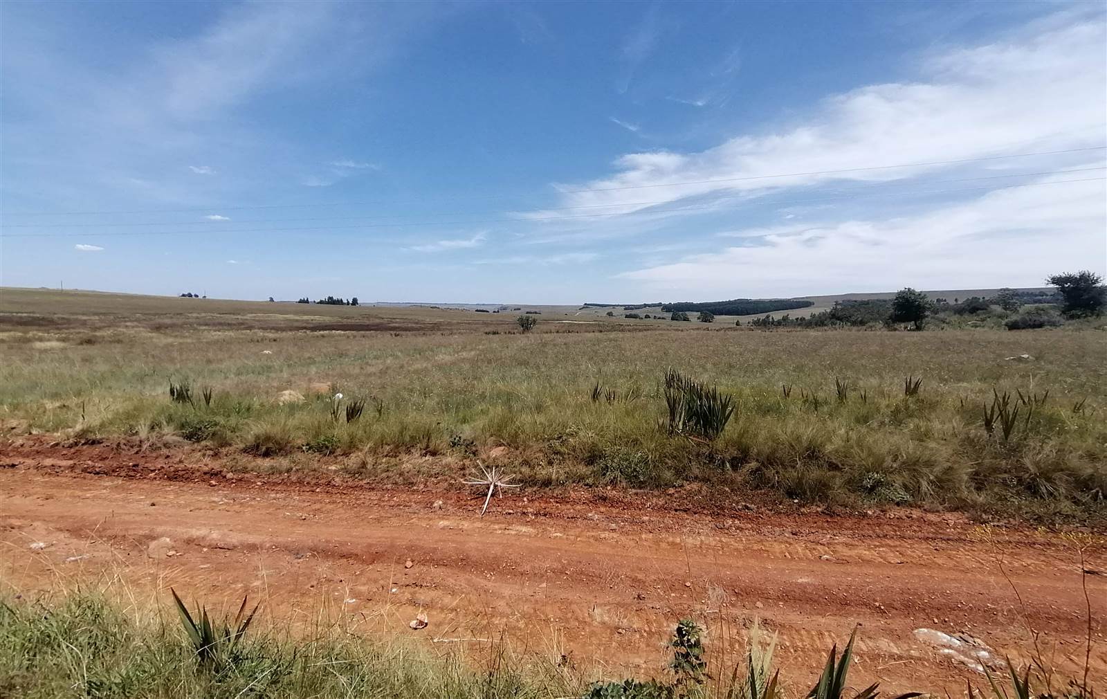 990 m² Land available in Dullstroom photo number 4