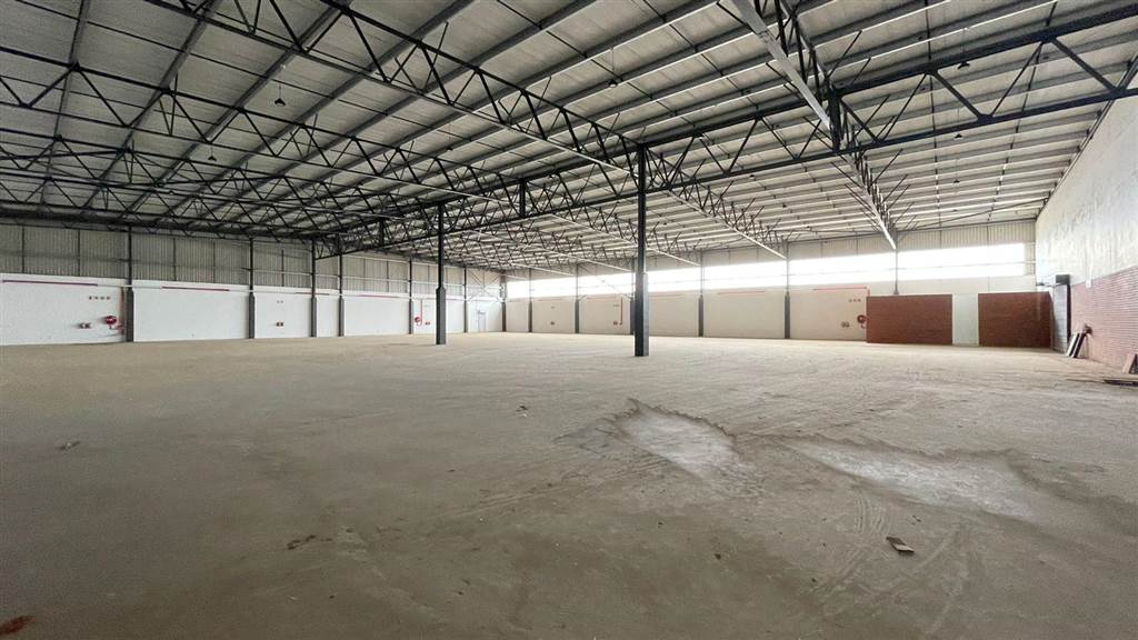6300  m² Industrial space in Louwlardia photo number 6
