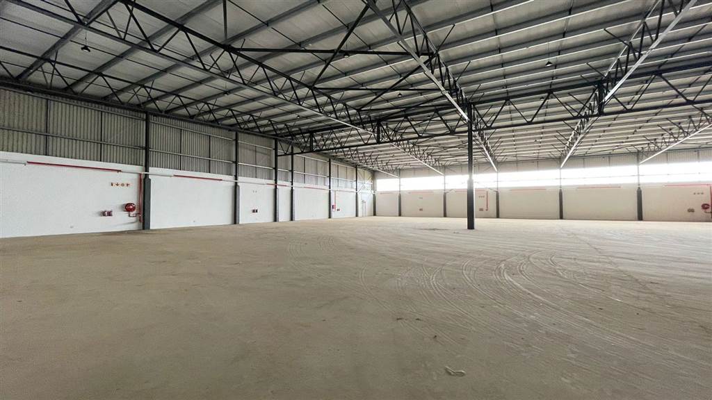 6300  m² Industrial space in Louwlardia photo number 5