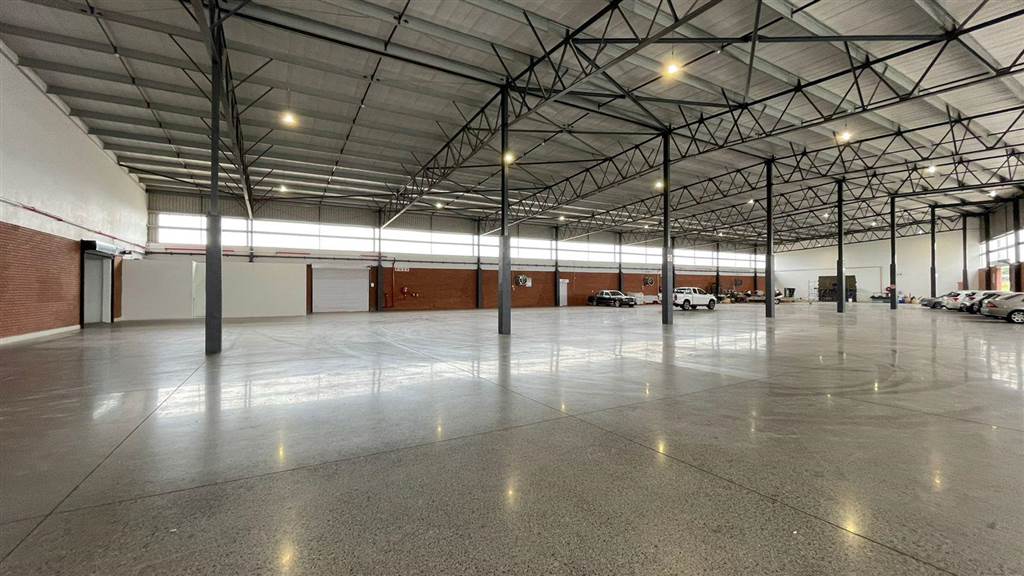 6300  m² Industrial space in Louwlardia photo number 1